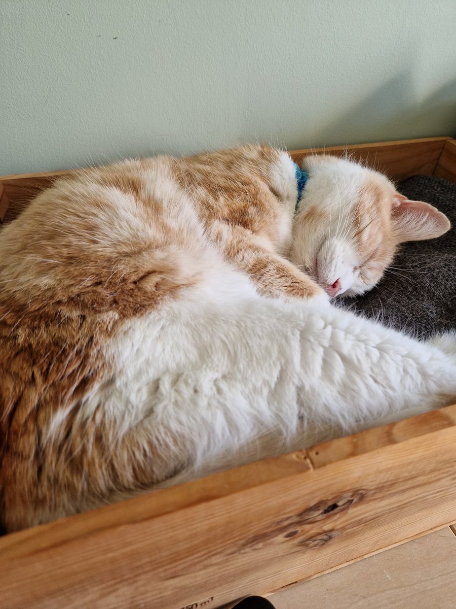 Rachel Green tweet media