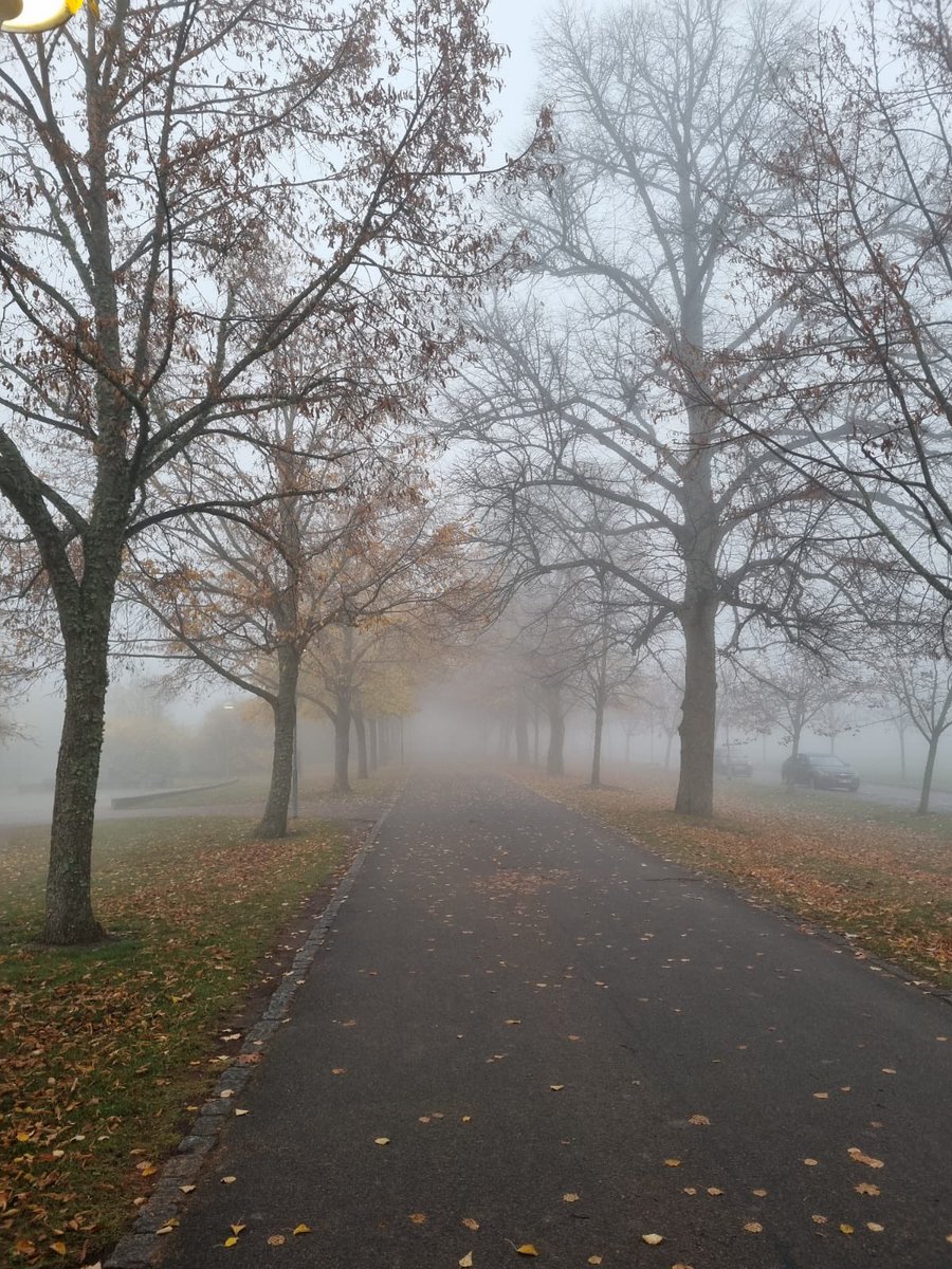 Gabi (she/her) tweet media