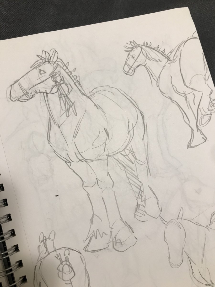 Royal winter fair sketches… sketching animals hard but fun 