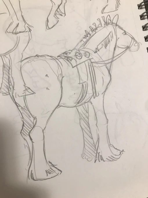 Royal winter fair sketches… sketching animals hard but fun 