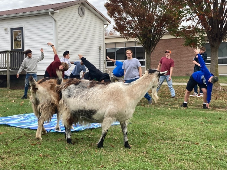 CCTC_CCPS's tweet photo. CCTC enjoyed a social emotional wellness day of Goat Yoga.  Even the goats had to take a leaf break between sessions.  Namaste.
#CCTCGrows https://t.co/wWxNbOjXRz