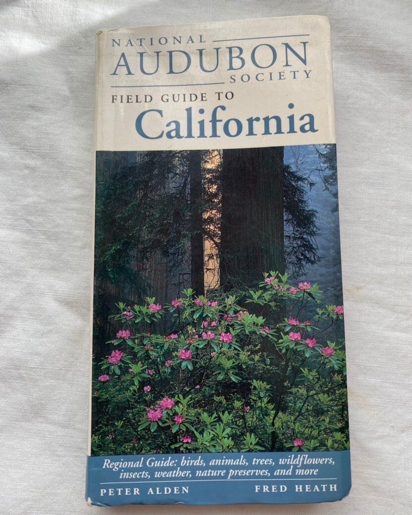 azastudiodesign's tweet photo. Excited to share this item from my #etsy shop: National AUDUBON society filed guide to CALIFORNIA, field guide , guide to California, California’s natural world, geology, wildlife habitat #fieldguide #californiaguide #audubonsociety https://t.co/oRimegEsZG https://t.co/XddCwole2g