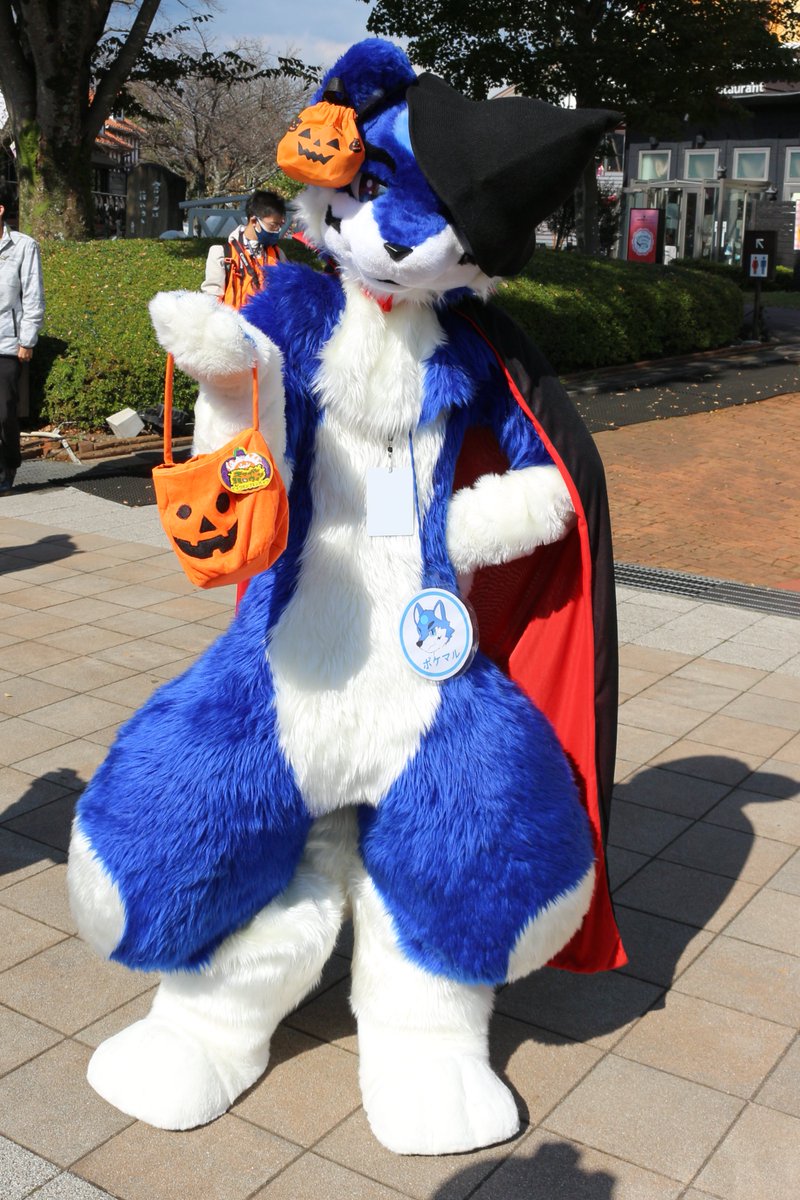 是政　KOREMASA tweet media