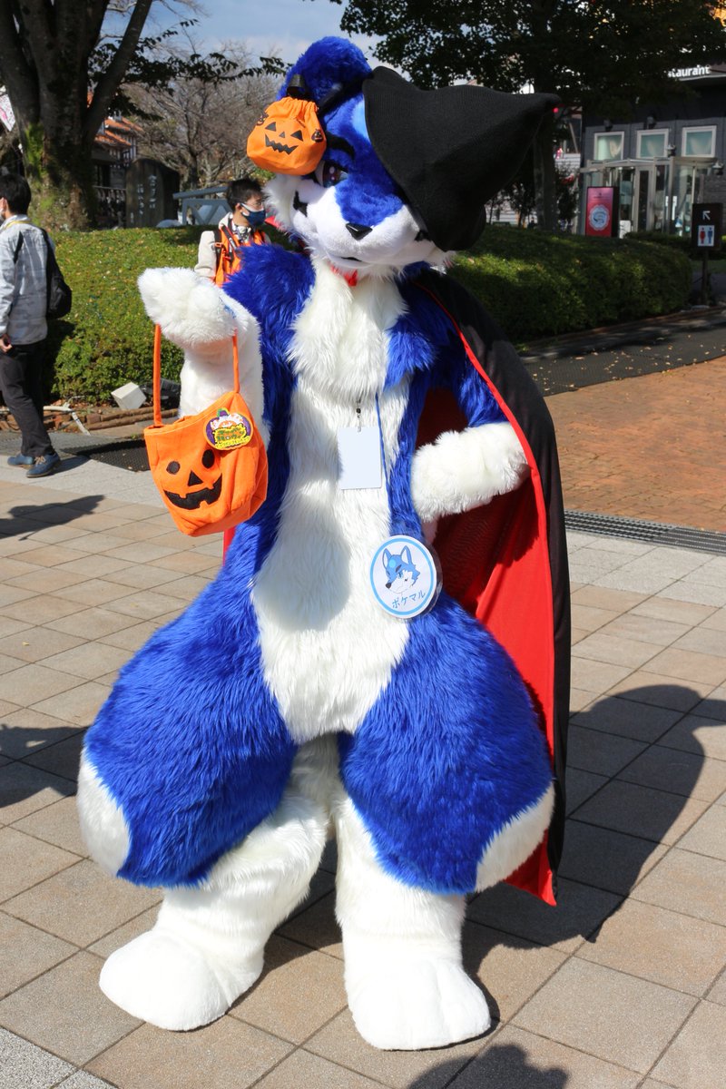 是政　KOREMASA tweet media