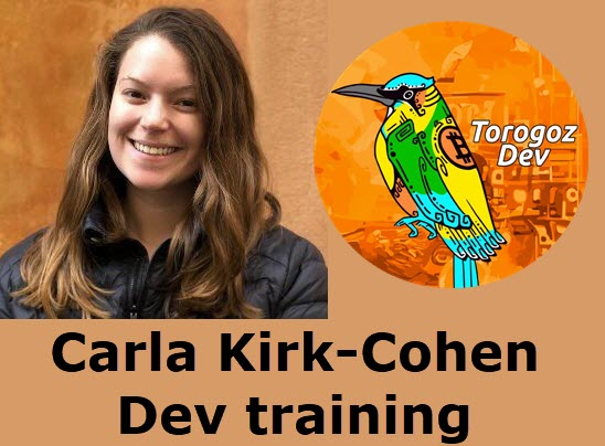 ishi0k's tweet image. El día de mañana en @torogozdev estará con nosotros @actuallyCarlaKC en la semana 3 del Curos de LN⚡ Carla entre otras cosas, es #DevTraining en @QalaAfrica 👇