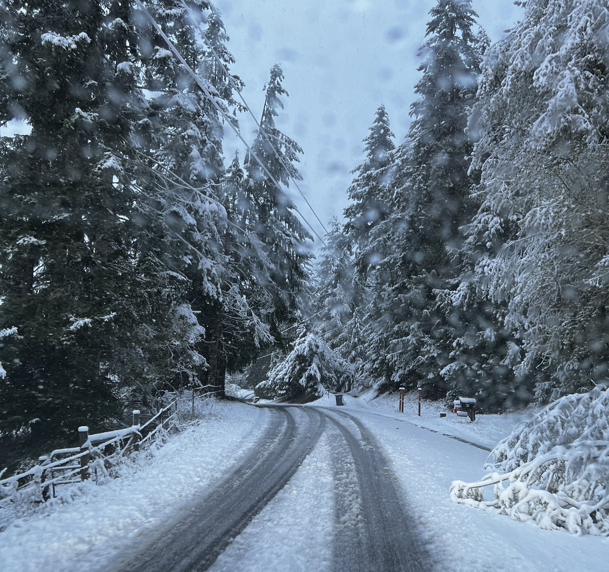 james_emett's tweet photo. An early surprise snow dusting. Love the PNW and the North Olympic Peninsula https://t.co/71oXcuLReo