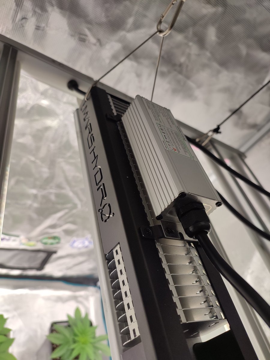 desdelasemilla's tweet photo. #sp150 #marshydro #led #bajoconsumo #indoor
@MarsHydroLight
@eleenwen https://t.co/lGRnINBpdQ