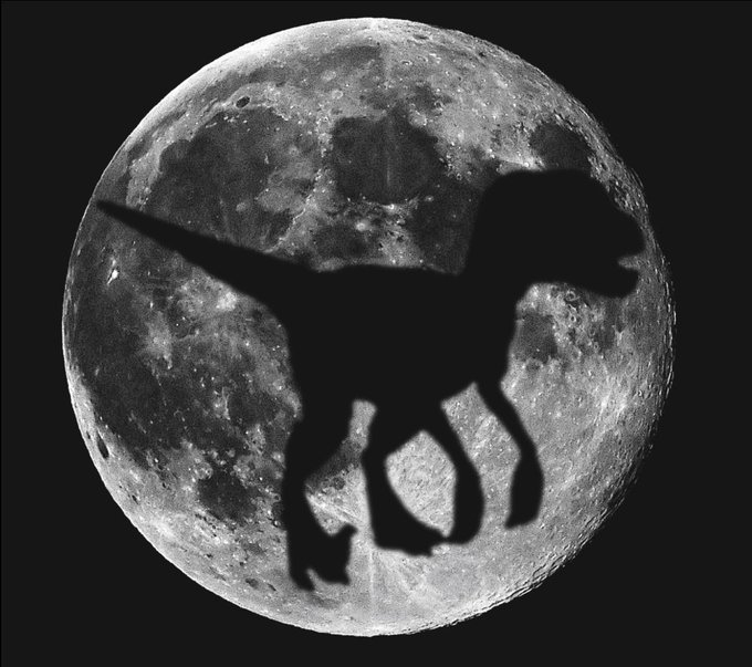 DinosaurEarth's tweet photo. @NASA @NASAMoon Explain this #NASAexposed https://t.co/7tLMaNRH93