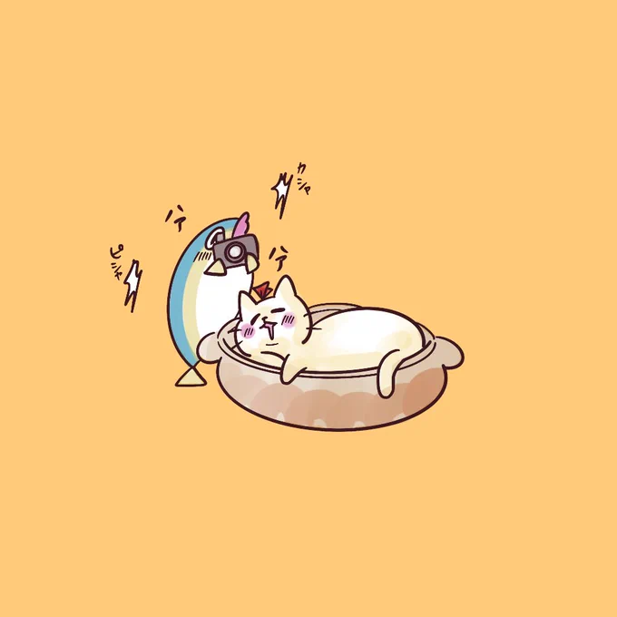 お鍋の日は猫鍋にしました!猫はお鍋で丸くなる!#イラスト #鍋の日 #猫鍋 