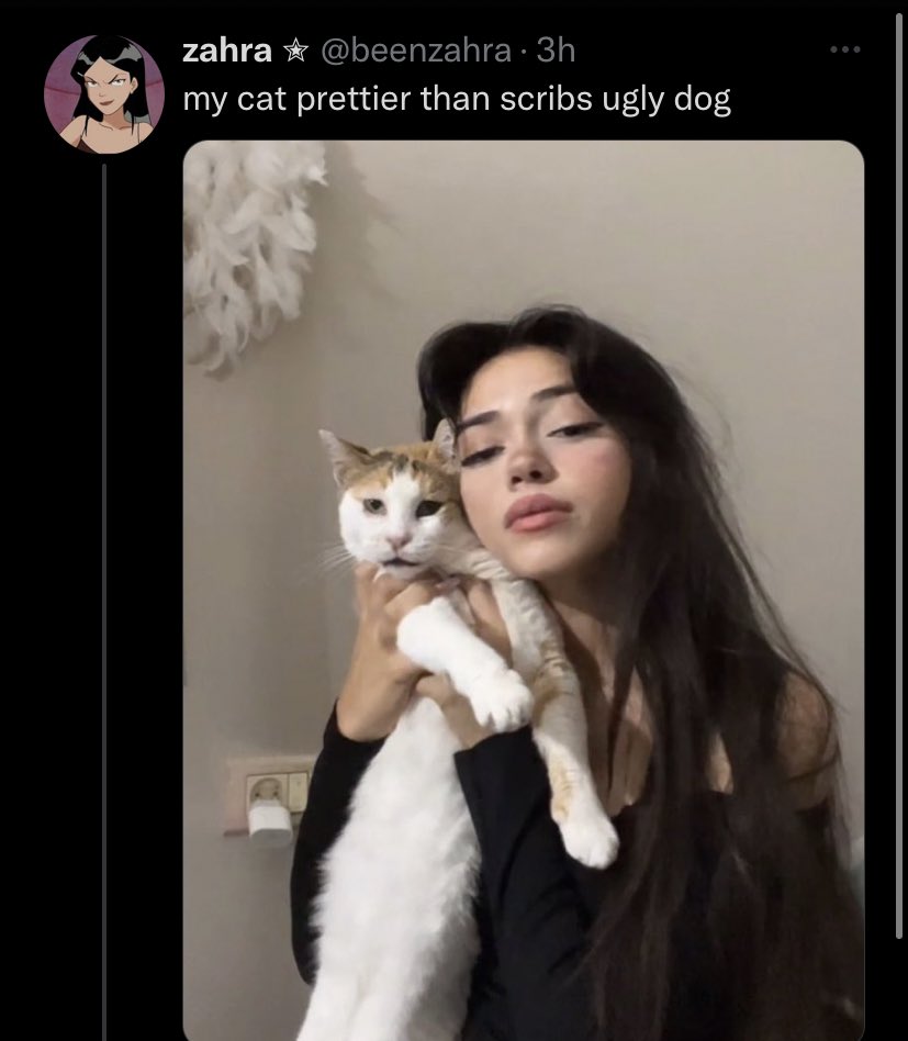 On Twitter WHY DOES MY DOG GET DRAGGED FOR NO REASON ON THIS on-twitter-why-does-my-dog-get-dragged-for-no-reason-on-this
