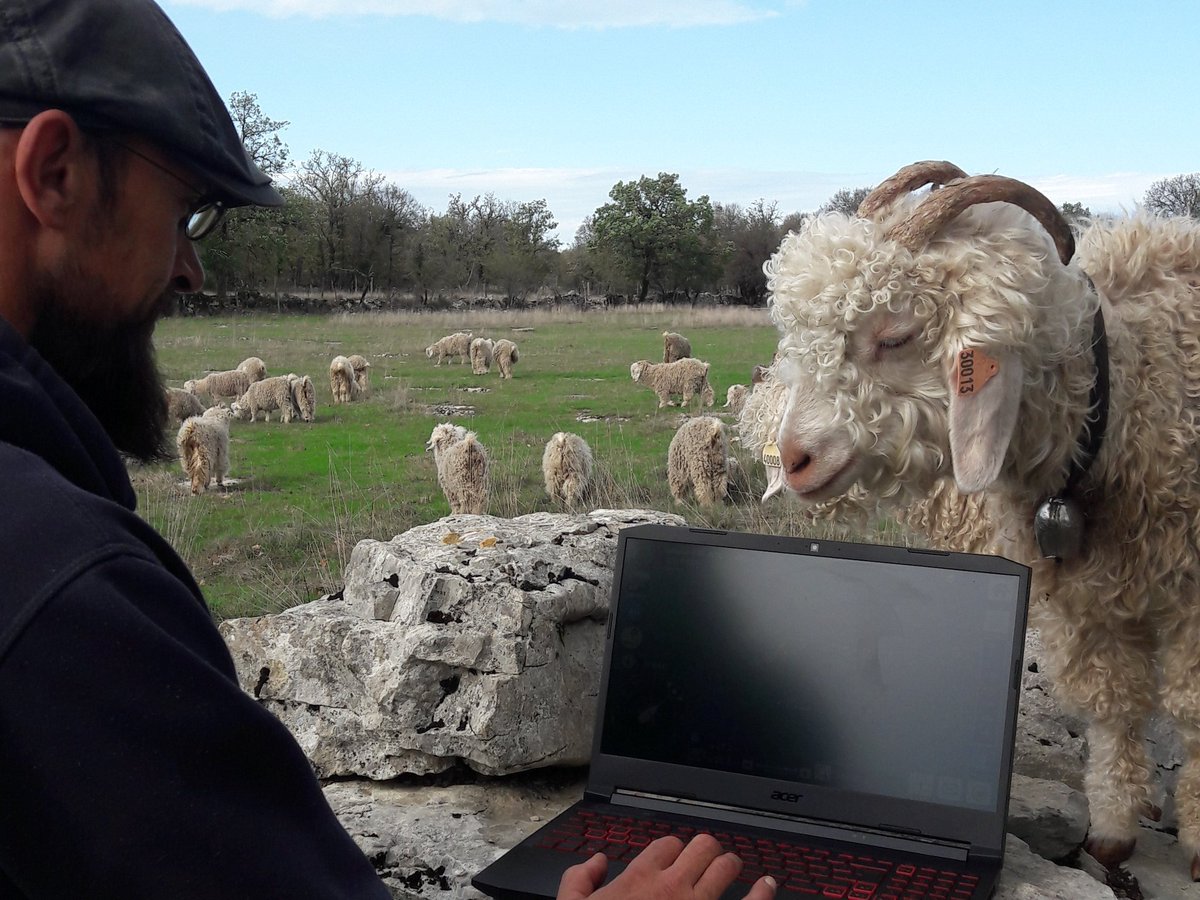 Allez Julien go go go !! 🐐🐐🐐