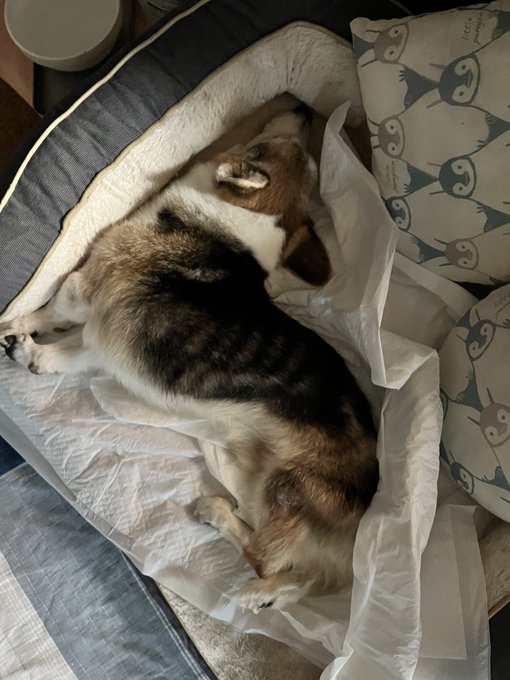 おはようございます。 