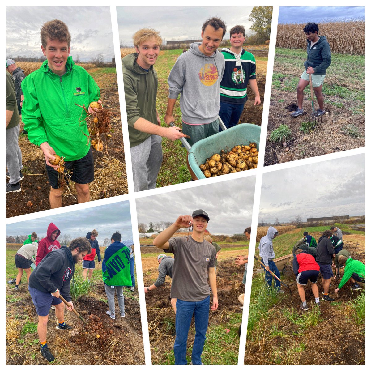 Grateful being words for the fantastic service of these Duncan and Carroll Hall guys! They’re the real deal and helped us button up our potato harvest for the season. What an asset to the community they are! #growlocal #foodaccess #makeadifference