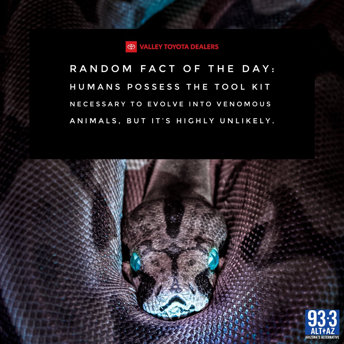 altaz933's tweet image. Idk, the world is full of some really toxic humans 😳 some of them even want your vote tomorrow 💩 - @DustinALTAZ #sponsored