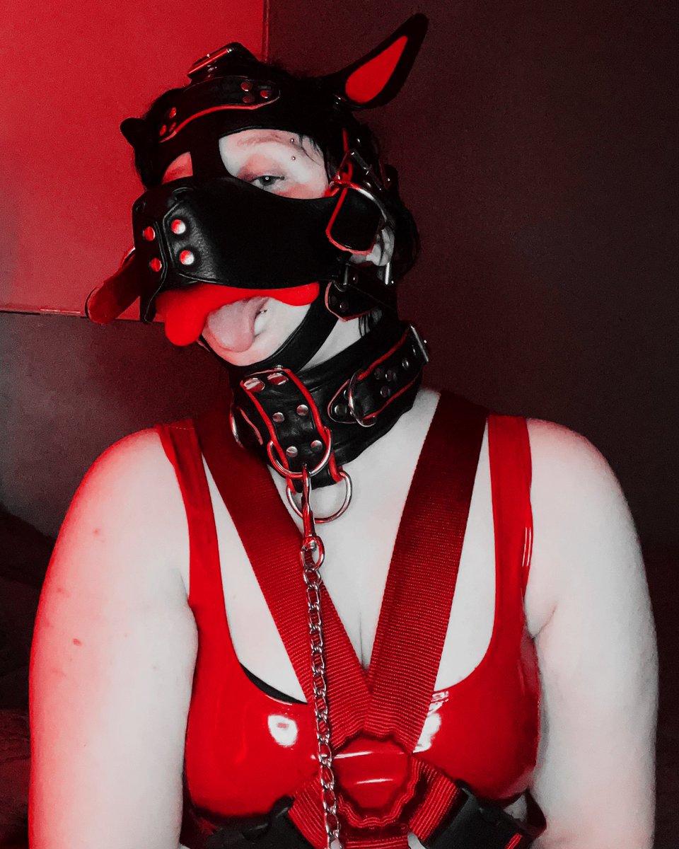 LOOK at how stunning this hood is. Omg!!