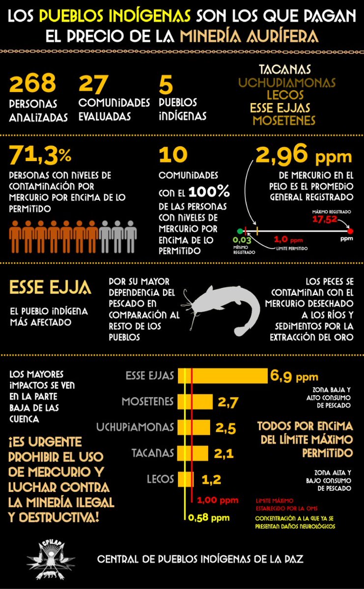 Brújula Noticias tweet media