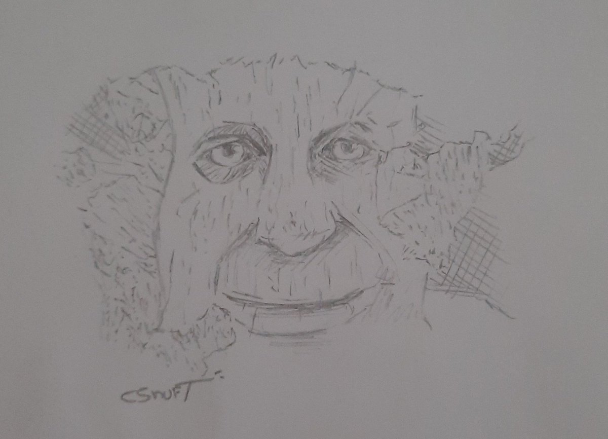 CSnuft's tweet image. Estaba aburrido... de igualmente me salio mal x'D

Árbol Místico :0

#mysticaltree #traditionalart