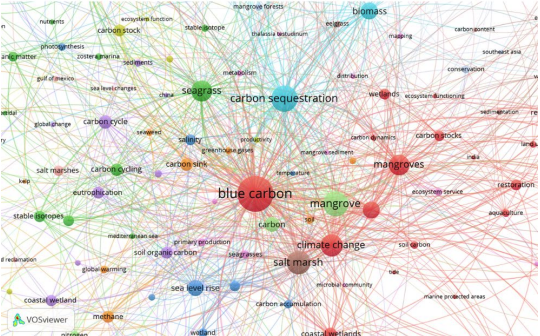 PeterMacreadie's tweet photo. In our new paper 'The Evolution of Blue Carbon Science' we investigate the patterns and trends in this rapidly growing field. We identify influential papers, hot topics, and the scientists/countries who are driving blue carbon science. Led by @dpcmicheli https://t.co/VrVHmKPHZO https://t.co/wac70XGEdO