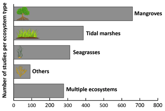 In our new paper 'The Evolution of Blue Carbon Science' we investigate the patterns and trends in this rapidly growing field. We identify influential papers, hot topics, and the scientists/countries who are driving blue carbon science. Led by <a href="/dpcmicheli/">Micheli Costa</a> link.springer.com/article/10.100…