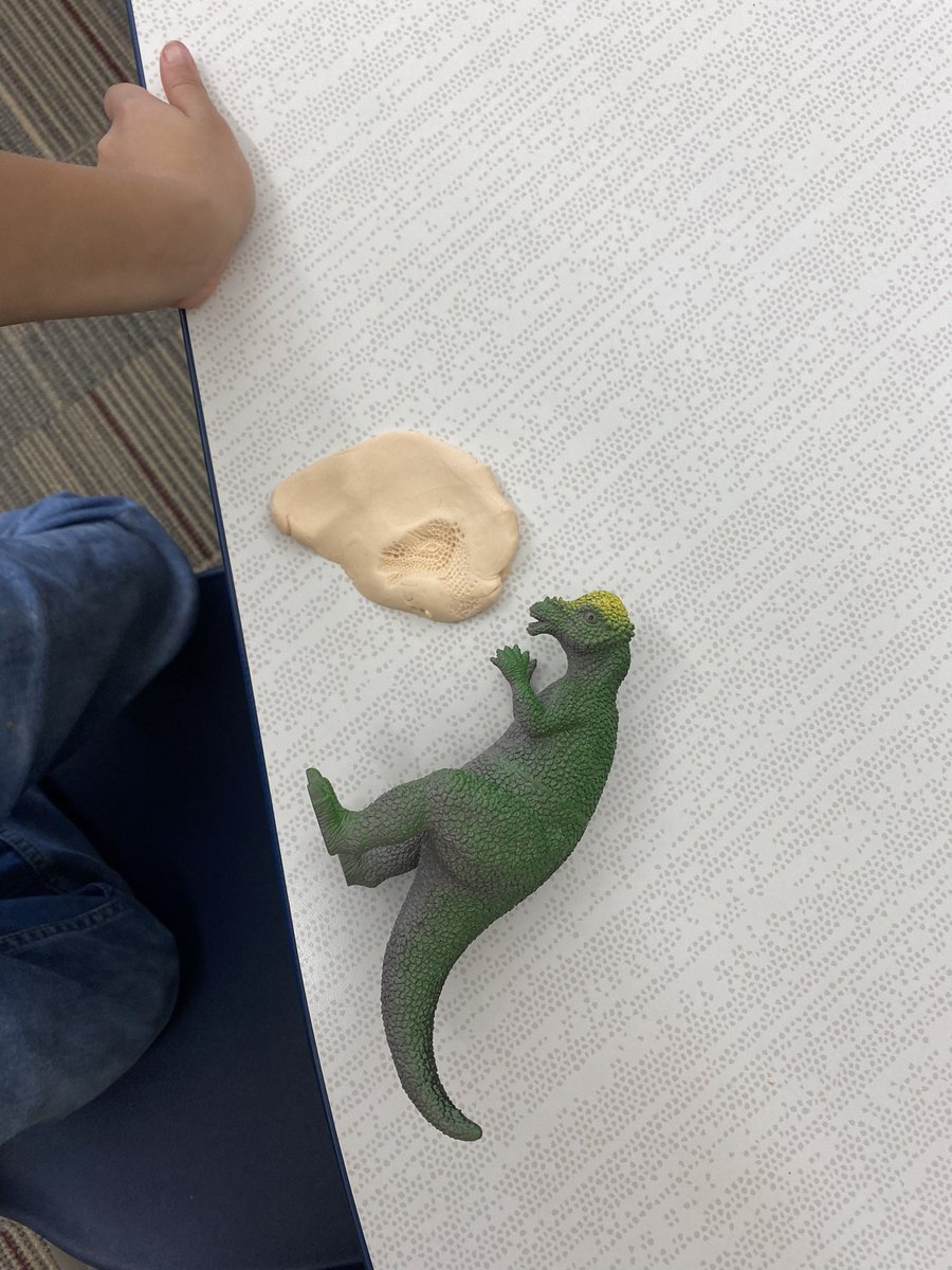 @E_B_Ellington 2nd graders made playdough fossils today as part of EL collaboration in the #library. @VOCALCCSD