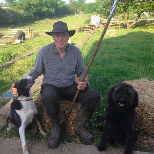 WaterlooCottageFarm tweet media