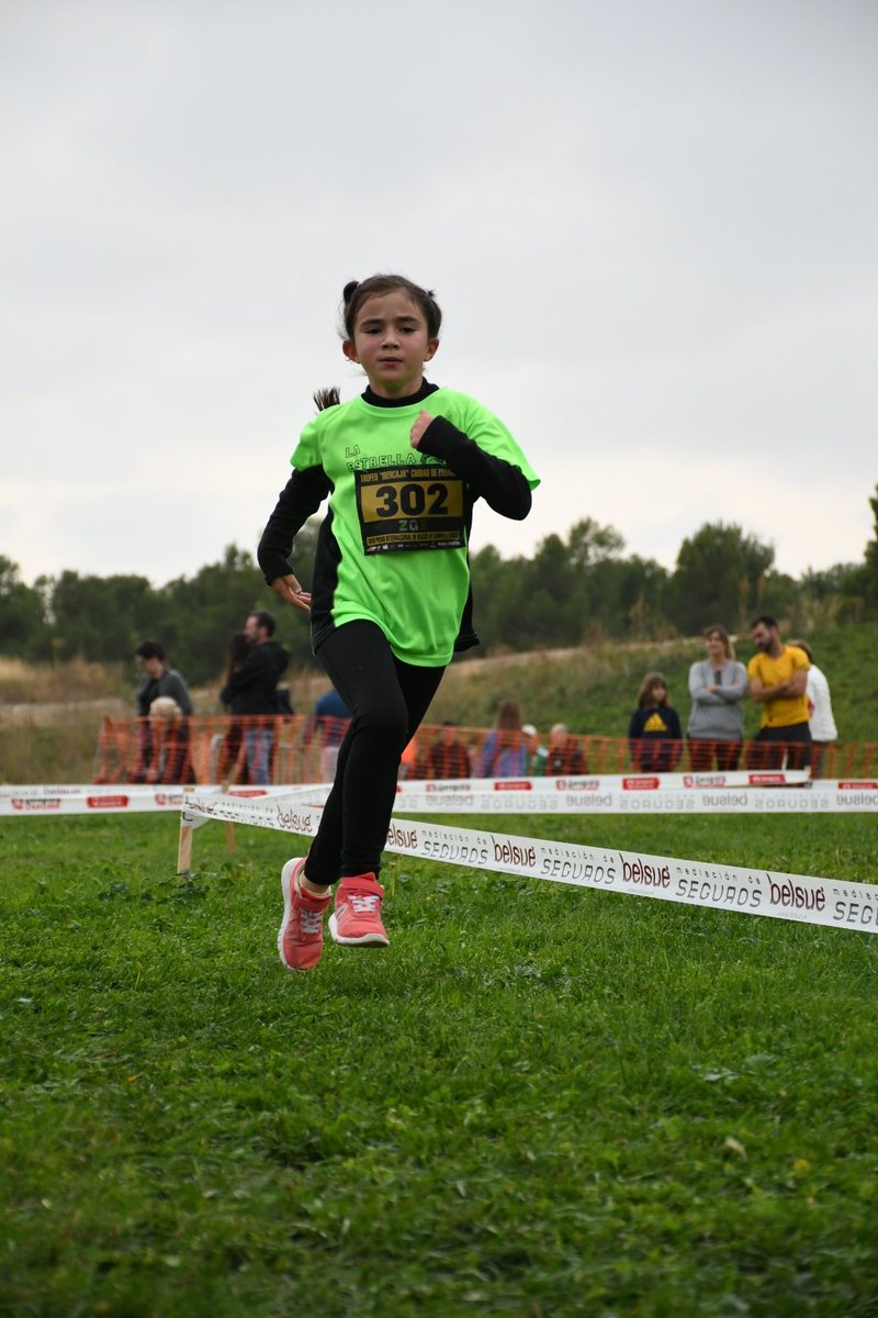 EFlaestrella tweet media