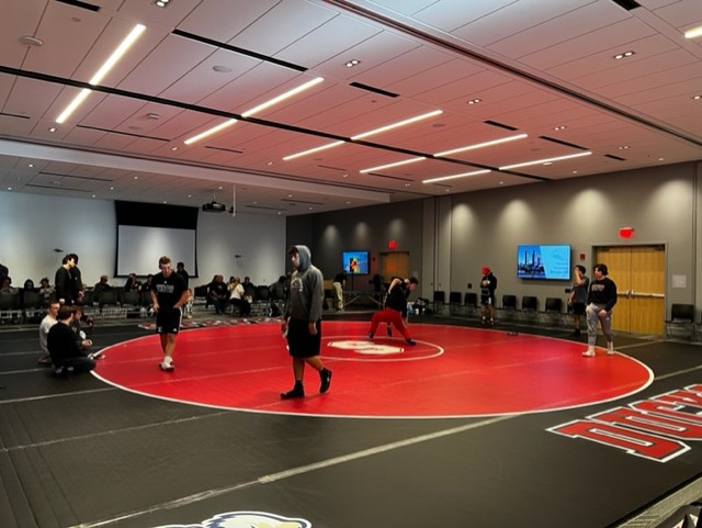 Nariman Farvardin tweet media