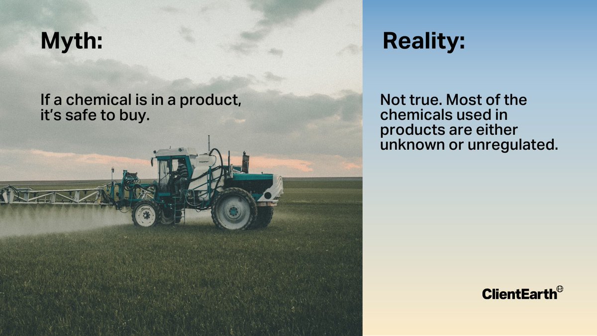 Hazardous chemicals are everywhere - in the food we eat, the air we breathe and the products we use. This often goes unnoticed by EU decision-makers; here are some of the most common myths that explain how that happens.
bit.ly/3zwF37n