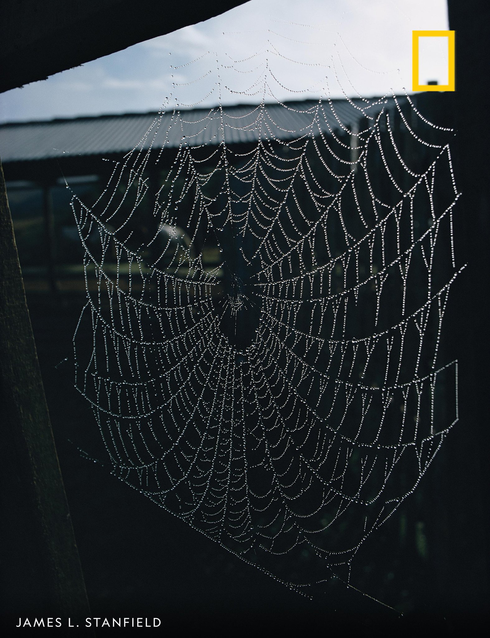 National Geographic on Twitter: "�� Happy Halloween! Enjoy these spooky images from our archives 
