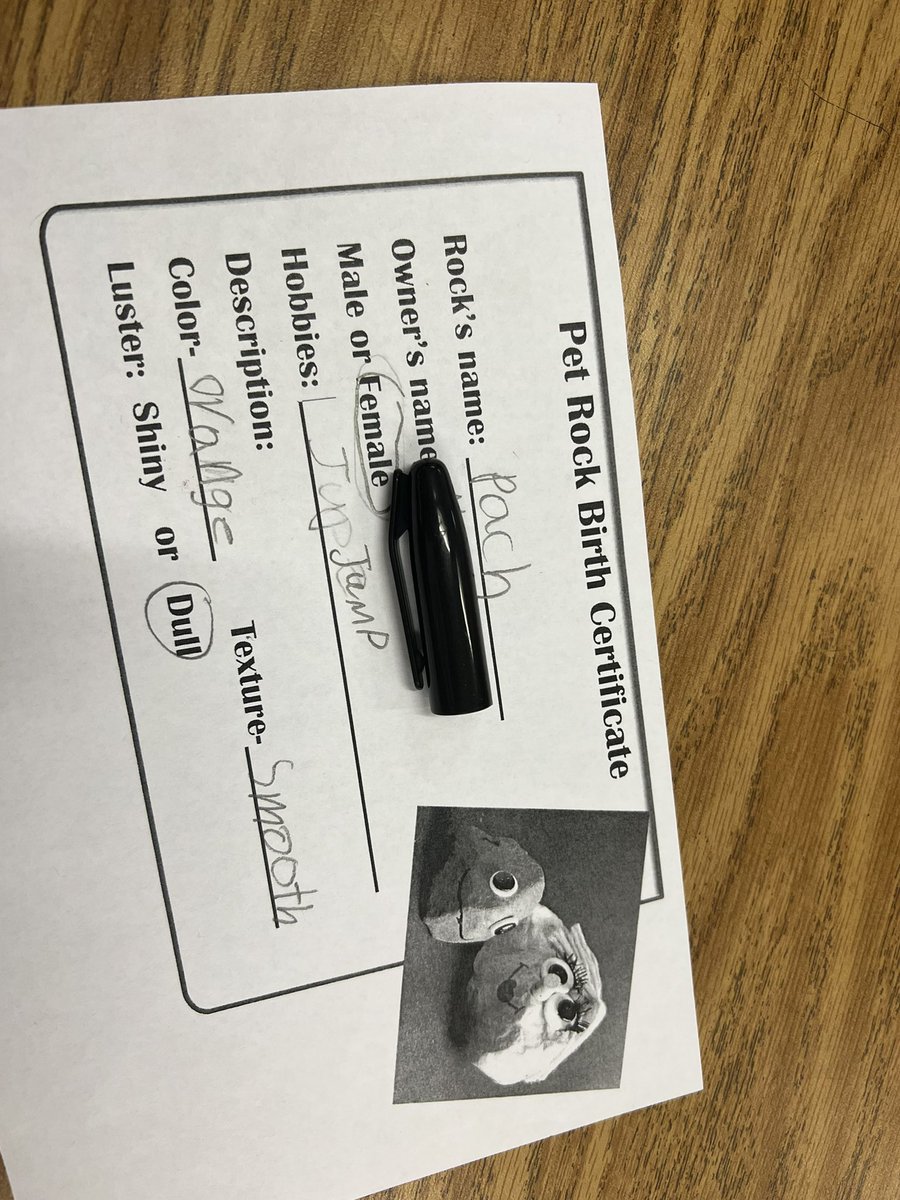 We were “rocking”today in 3rd grade! Pet rocks are making a come back, tell your friends! <a href="/MissReandelar/">Chloe Ann</a> <a href="/TeamDarnell3/">Emily Darnell</a> @Mrs_Williams3rd