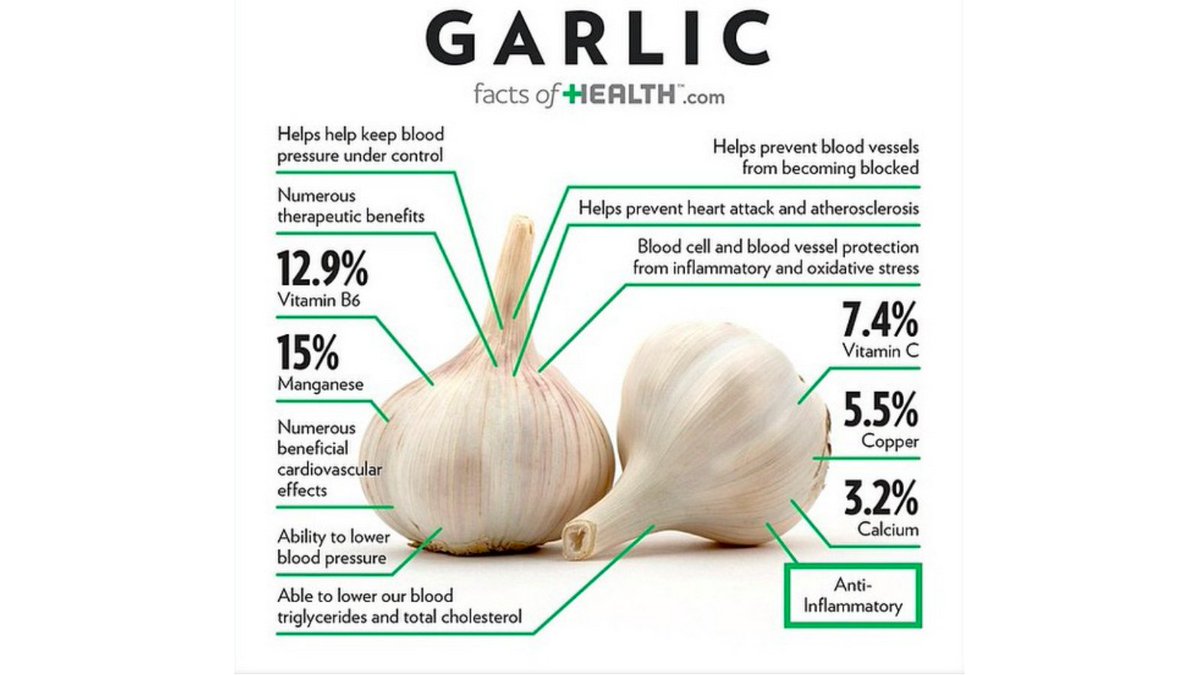 One of the world's oldest crops Garlic Why you should be consuming