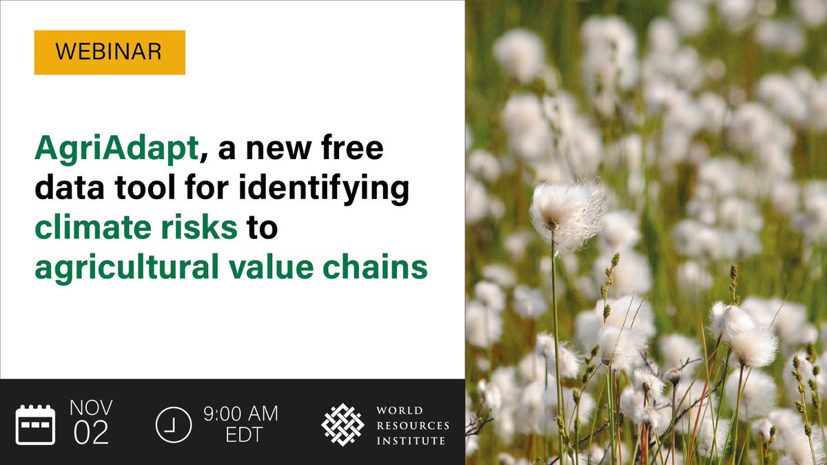 Register today for the global launch of AgriAdapt, and get to know the story behind this new tool and how it was co-developed with agricultural decision-makers, with climate resilience in mind. Register for the launch event on November 2nd! 👉ow.ly/4FYh50LosZS