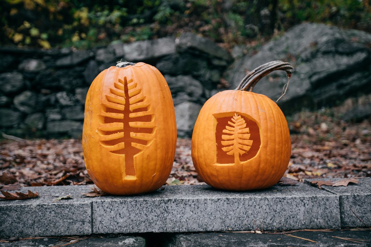 It's not really #DartmouthFall until the Dartmouth pumpkins make an appearance. 🎃 Download the templates to carve your own very Dartmouth pumpkin 👉 bit.ly/2ovHCFv (Photos by Katie Lenhart and Robert Gill)