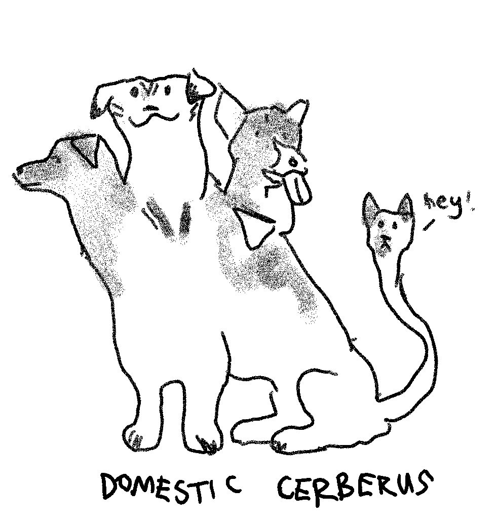 Mostly Dogs tweet media