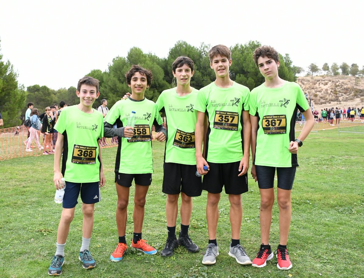 EFlaestrella tweet media