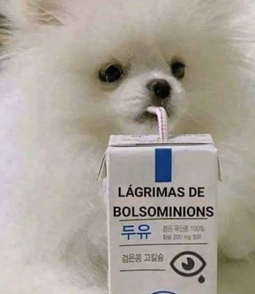 raul_p7's tweet image. 