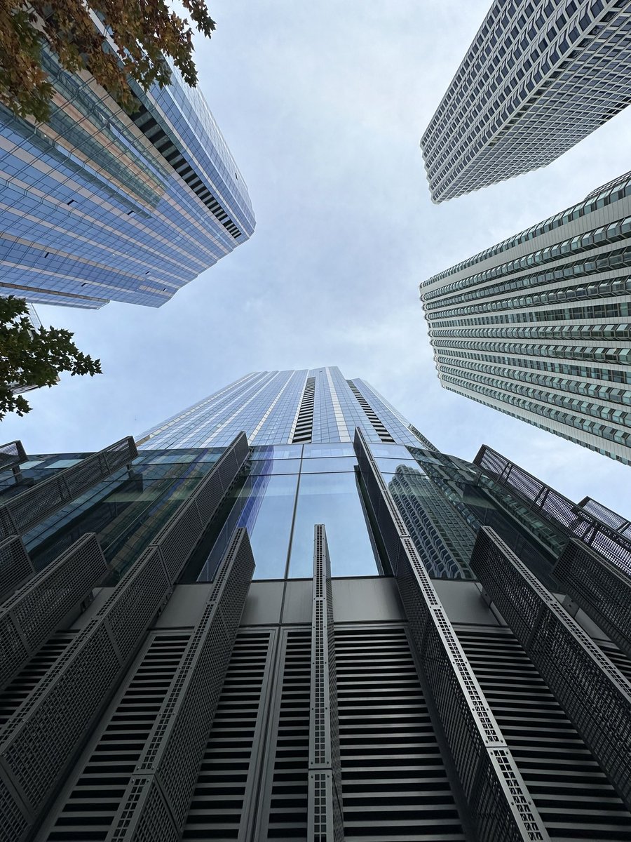 The Dream Collective tweet media