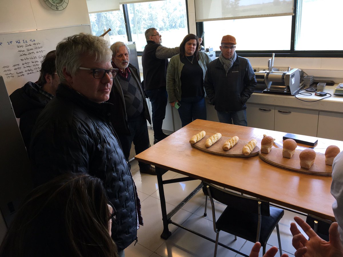 INIA_UY's tweet photo. @panaderos_cipu continuamos trabajando por la calidad de los trigos uruguayos. Fue un gusto compartir una jornada de intercambio. @UruTrigo https://t.co/6wLcQ9sYV8