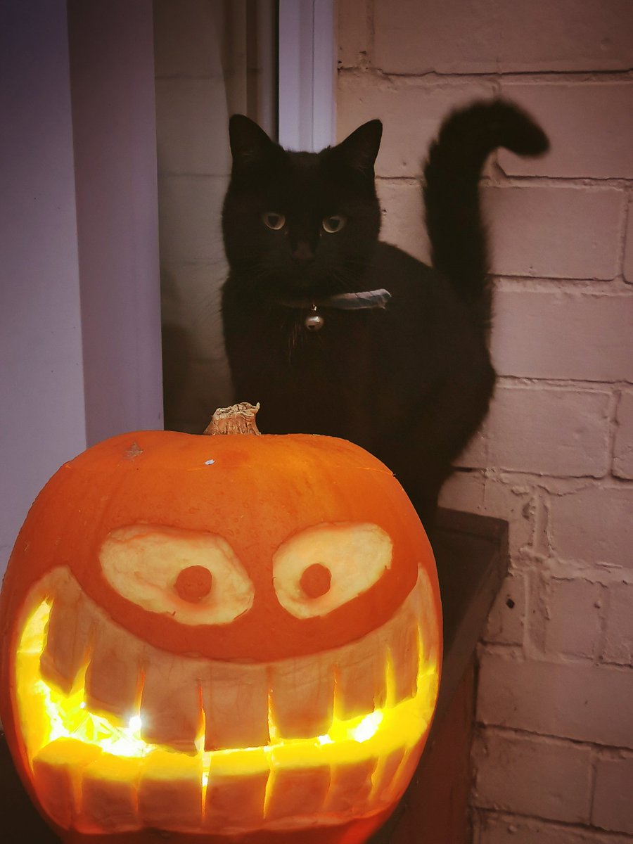 paddyrex's tweet image. #halloween