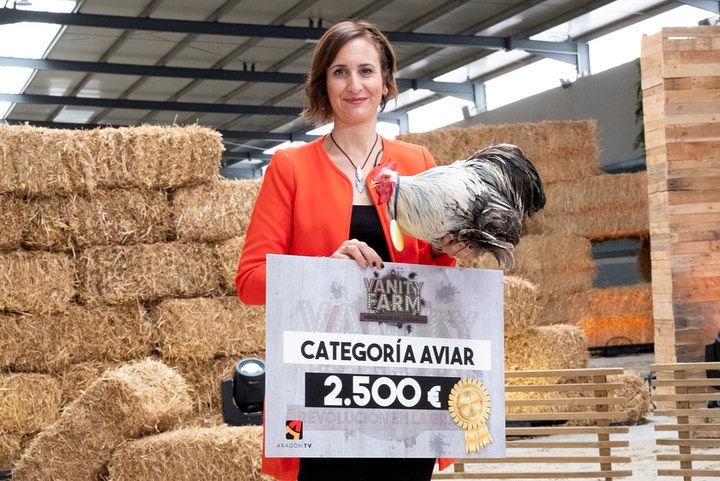aragontv's tweet photo. Estos han sido los ganadores de #VanityFarm 💚

Enhorabuena a:
🐔 Categoría Aviar: gallo Marqués
🐴 Categoría Equina: pony Pulcher
🐂 Categoría Bovina: buey Perdigón
🐑 Categoría Ovina: oveja Prisca

Y por supuesto agradecer a todos los finalistas, participantes y al público❤️ https://t.co/QybYritWct