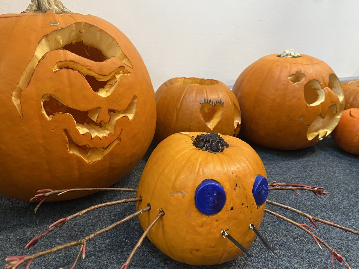 Chellaston Fields Spencer Academy tweet media