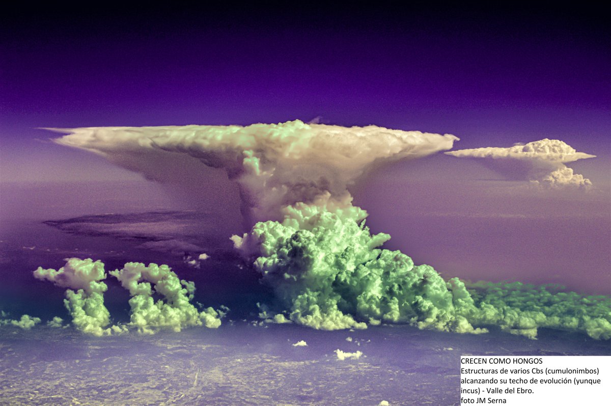 CÚMULONIMBO . Compendio de nubes en una estructura mas compleja . la imagen nos acerca al momento mas efectivo de la convección y su distribución en varios nucleos/fases CRECEN COMO HONGOS varios Cbs(cumulonimbos)alcanzando su techo(yunque incus) -Valle del Ebro. foto JM Serna