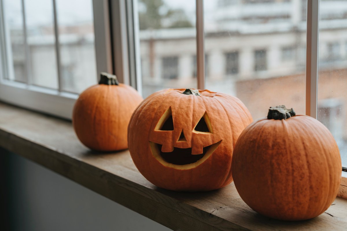 TMBinfo's tweet photo. Tant si ets més de #Castanyada🌰 o de #Halloween🎃, et desitgem que acabis de passar un bon dilluns.
#Tanquem per avui, ens llegim dimecres. 😇💤 https://t.co/2XvPlnrPuR