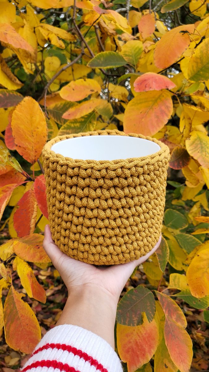 helloaeko's tweet photo. • Coming 🔜 Anäis Plant Pot - Mustard

Happy Halloween 🎃 and Dia de Los Muertos (Day of the Dead) 🧡
https://t.co/hC0hOG4CBs https://t.co/lAKjC62KMI