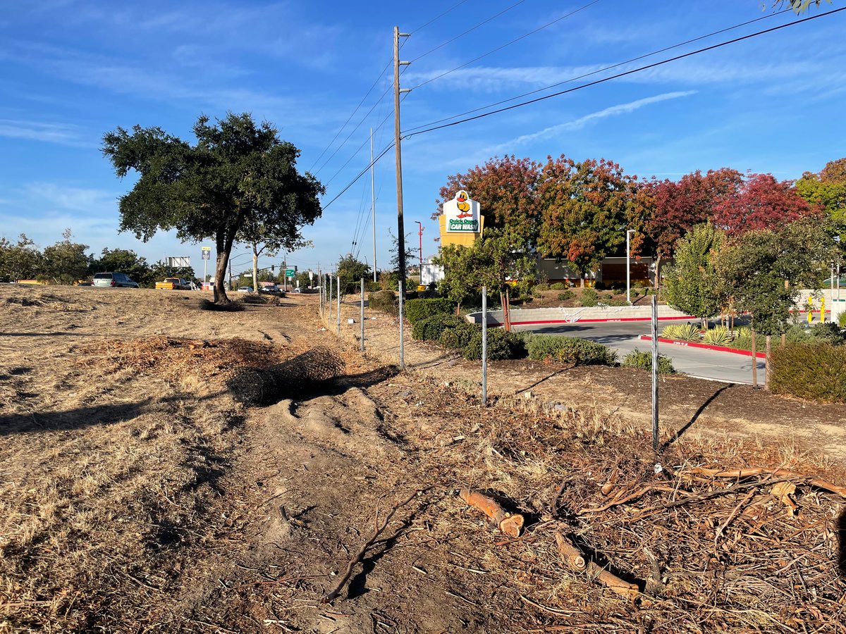 CityofCHeights's tweet photo. We're so grateful to our partners at @CaltransDist3 for their collaboration in directly improving our community's quality of life by addressing blight concerns and maintaining our community image!
#solidrootsnewsgrowth #communityimage #citypartners https://t.co/35m7zYRMDv