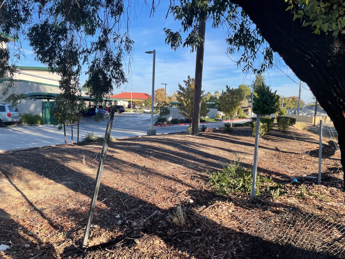 CityofCHeights's tweet photo. We're so grateful to our partners at @CaltransDist3 for their collaboration in directly improving our community's quality of life by addressing blight concerns and maintaining our community image!
#solidrootsnewsgrowth #communityimage #citypartners https://t.co/35m7zYRMDv
