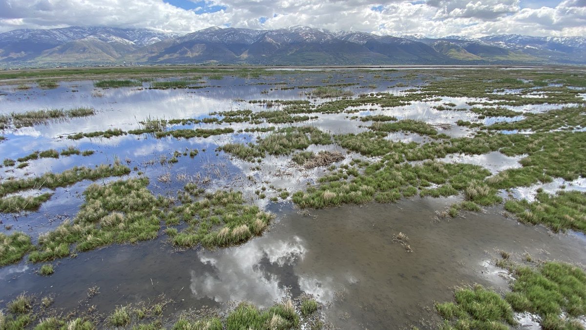 Would you like to weigh in on the future of the #GreatSaltLake?  If so, take our public survey: 
usu.co1.qualtrics.com/jfe/form/SV_6J… 

<a href="/UtahWRI/">Utah's Watershed Restoration Initiative (WRI)</a> <a href="/USUWaterLab/">Utah Water Research Laboratory</a> <a href="/utwow/">Utah Women of Water</a> <a href="/USUAggies/">Utah State University</a> <a href="/UtahFFSL/">Utah FFSL</a> <a href="/UtahDWR/">UtahDWR</a>