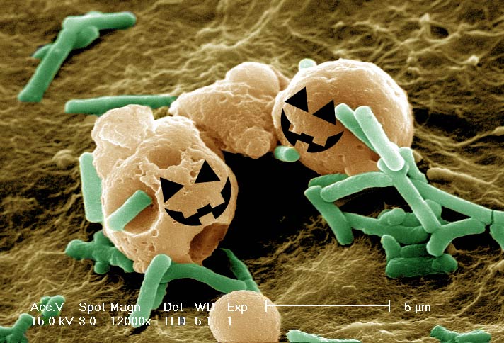 Happy #Halloween and #EMMonday #MucusMonday #MicroscopyMonday #MicrobeMonday! All the Monday's 😊! #bioart #sciart #Microscreepy #Spooktober