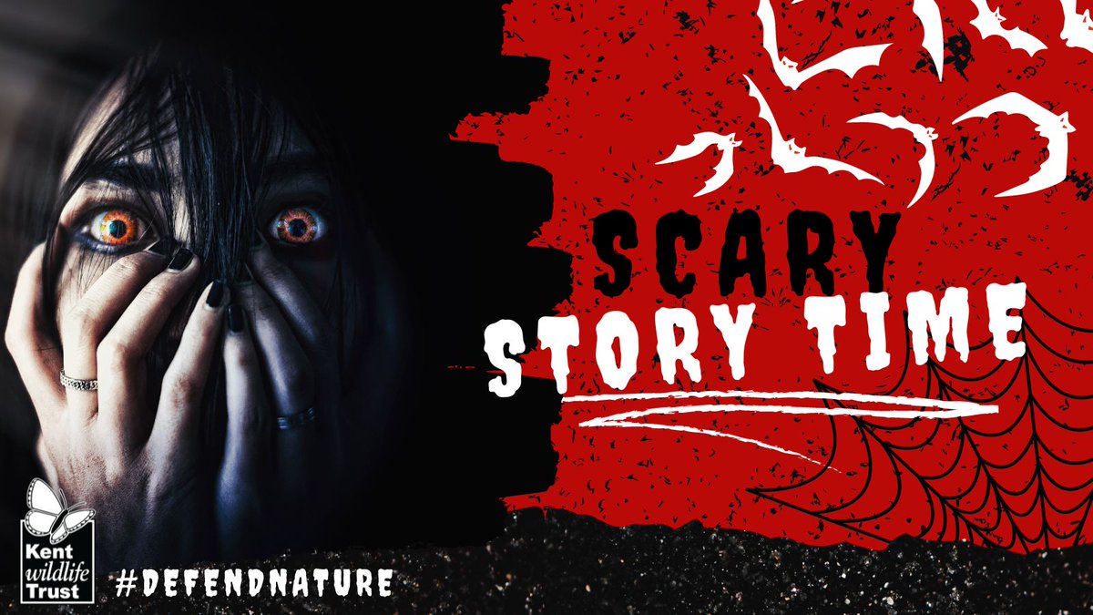 KentWildlife's tweet image. 😡Today the government were due to publish targets aimed at reducing pollution and restore nature as part of the #EnvironmentAct in advance of #COP27. Instead, this has been delayed by @theresecoffey with no date given for publication. 

#DefendNature 👉kwtg.uk/3rkvns0