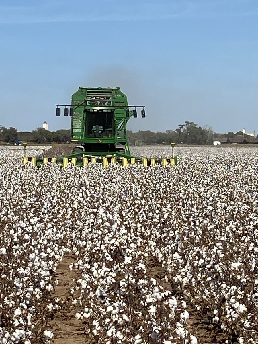 Justin Campbell tweet media